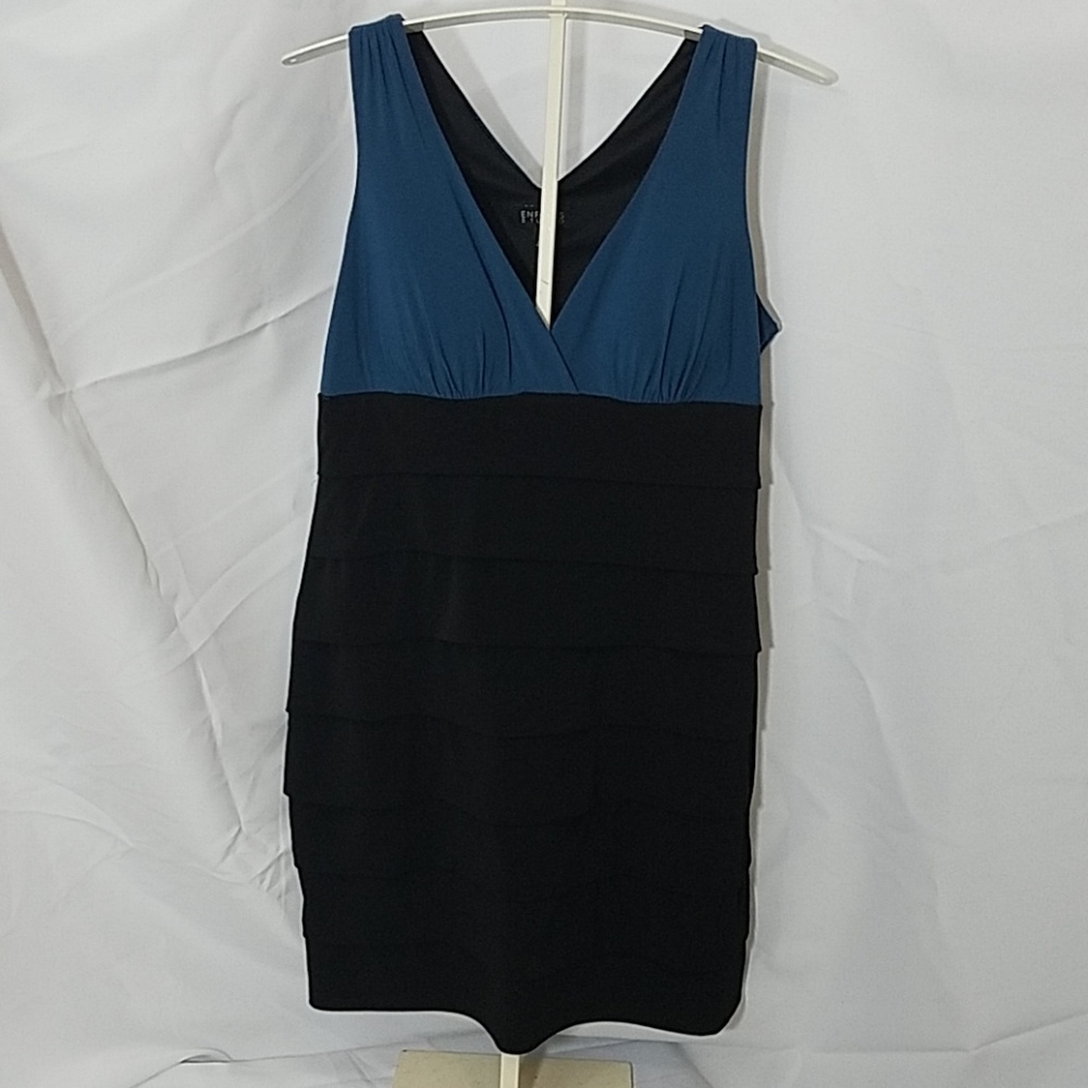Enfocus Studio Fitted Dress